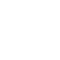 演示视频